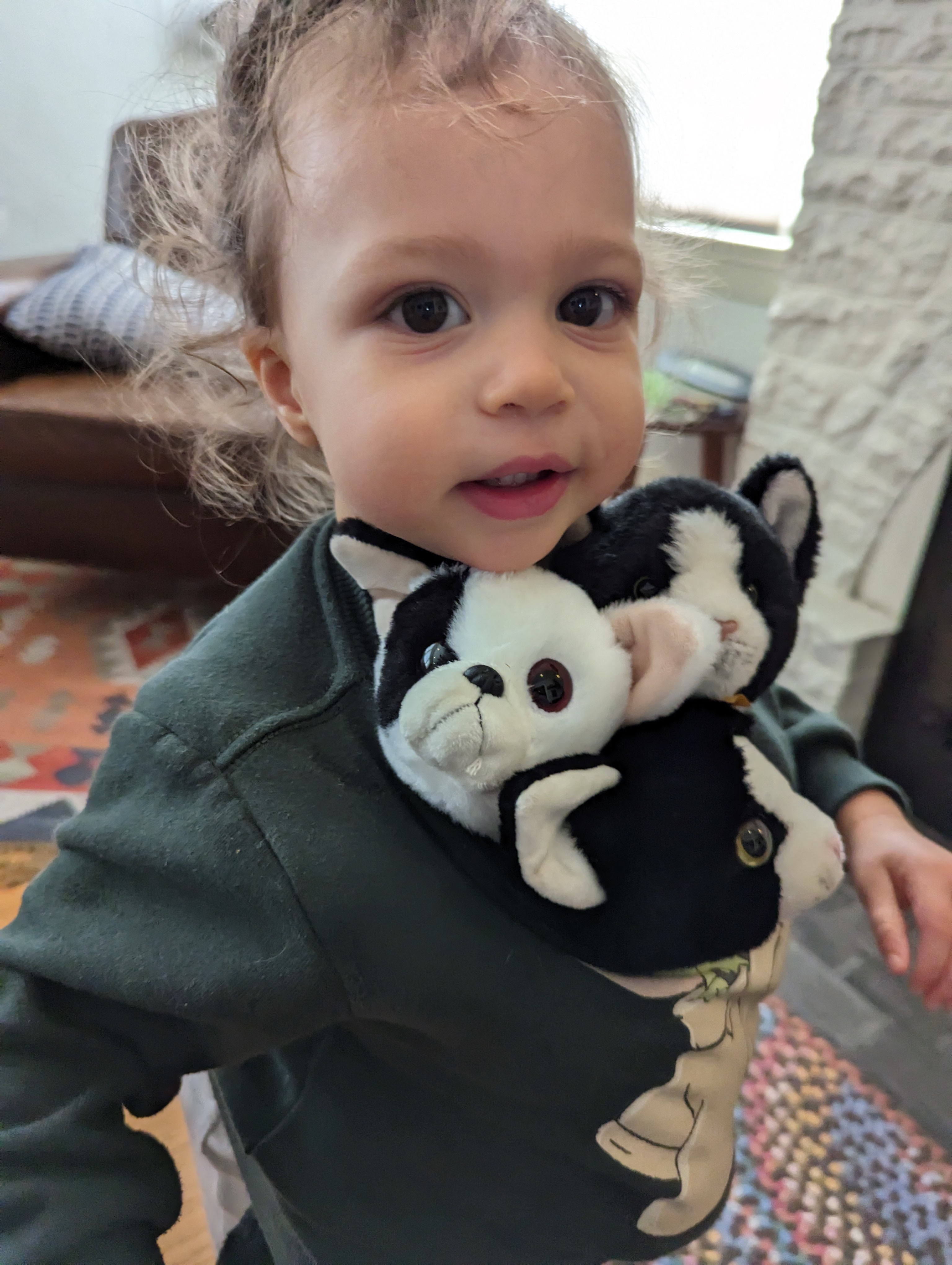 Young girl Eliza with her stuffed animals packed and ready for a camping trip