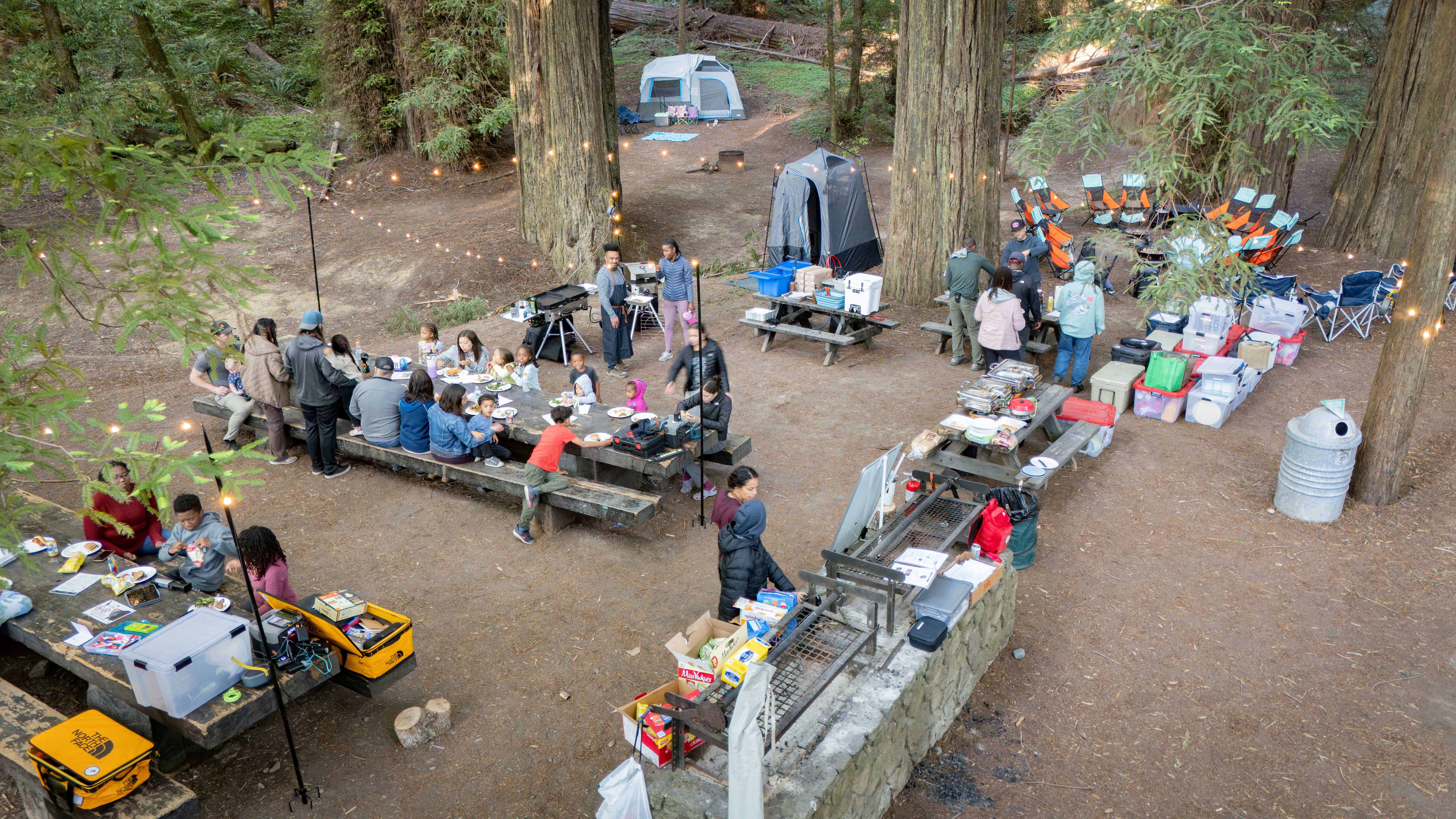 Peaceful morning scene at a campsite in Humboldt Redwoods with misty redwood trees