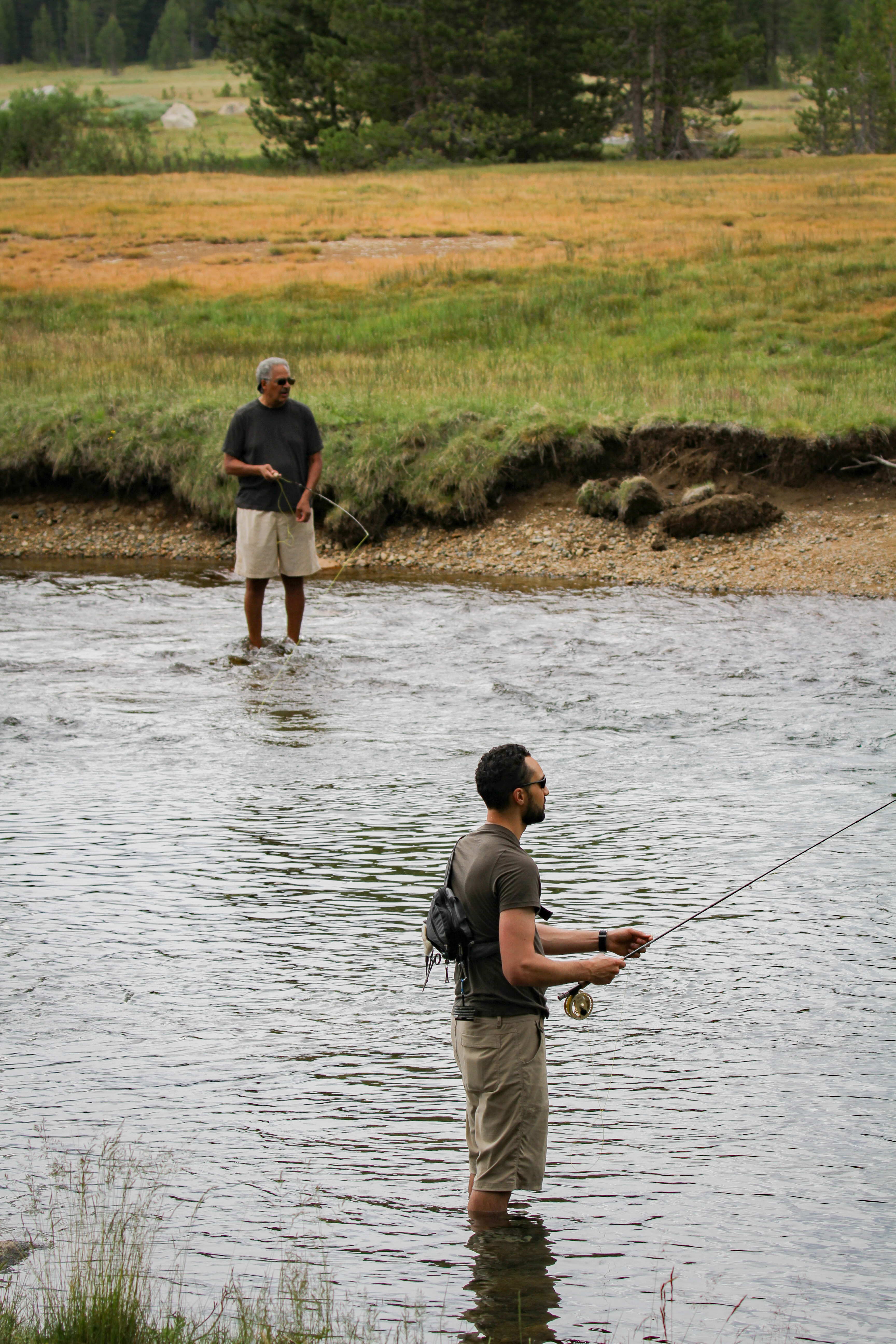 Justin Steele and his father fly fishing in the Tuolumne River at Tuolumne Meadows Campground in Yosemite National Park. Justin Steele and his father fly fishing in the Tuolumne River at Tuolumne Meadows Campground in Yosemite National Park.