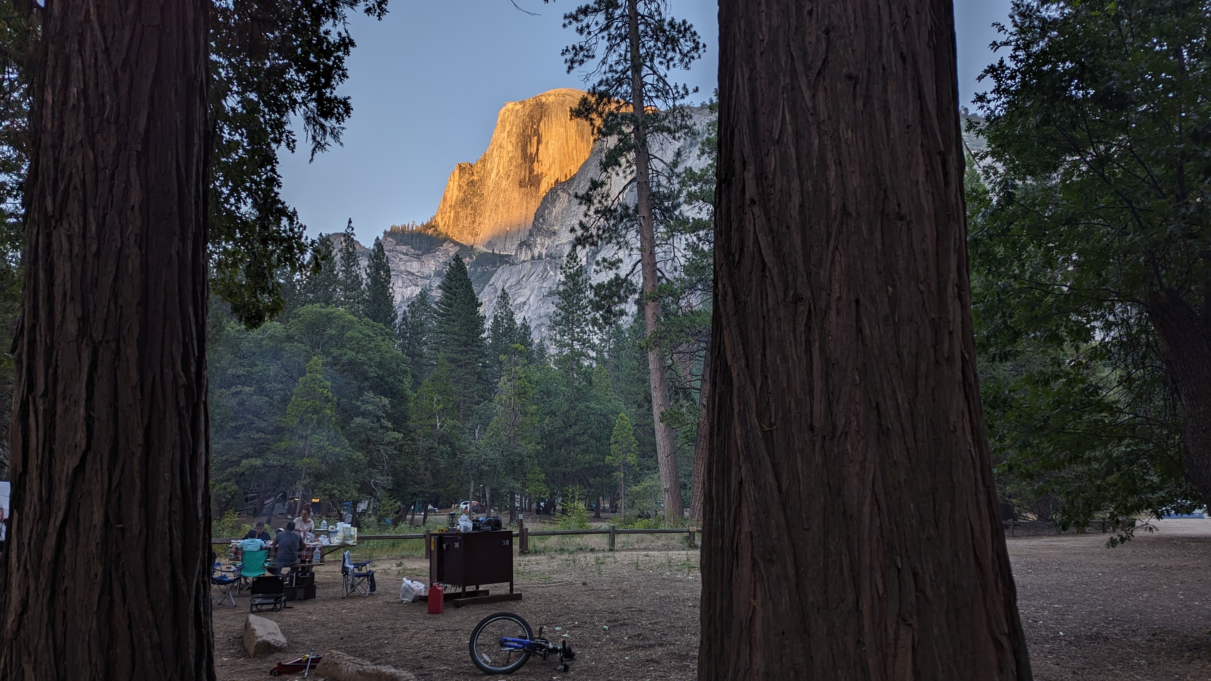 Half Dome glowing orange at sunset, viewed through pine trees from the Steele family's North Pines campsite at Yosemite National Park.