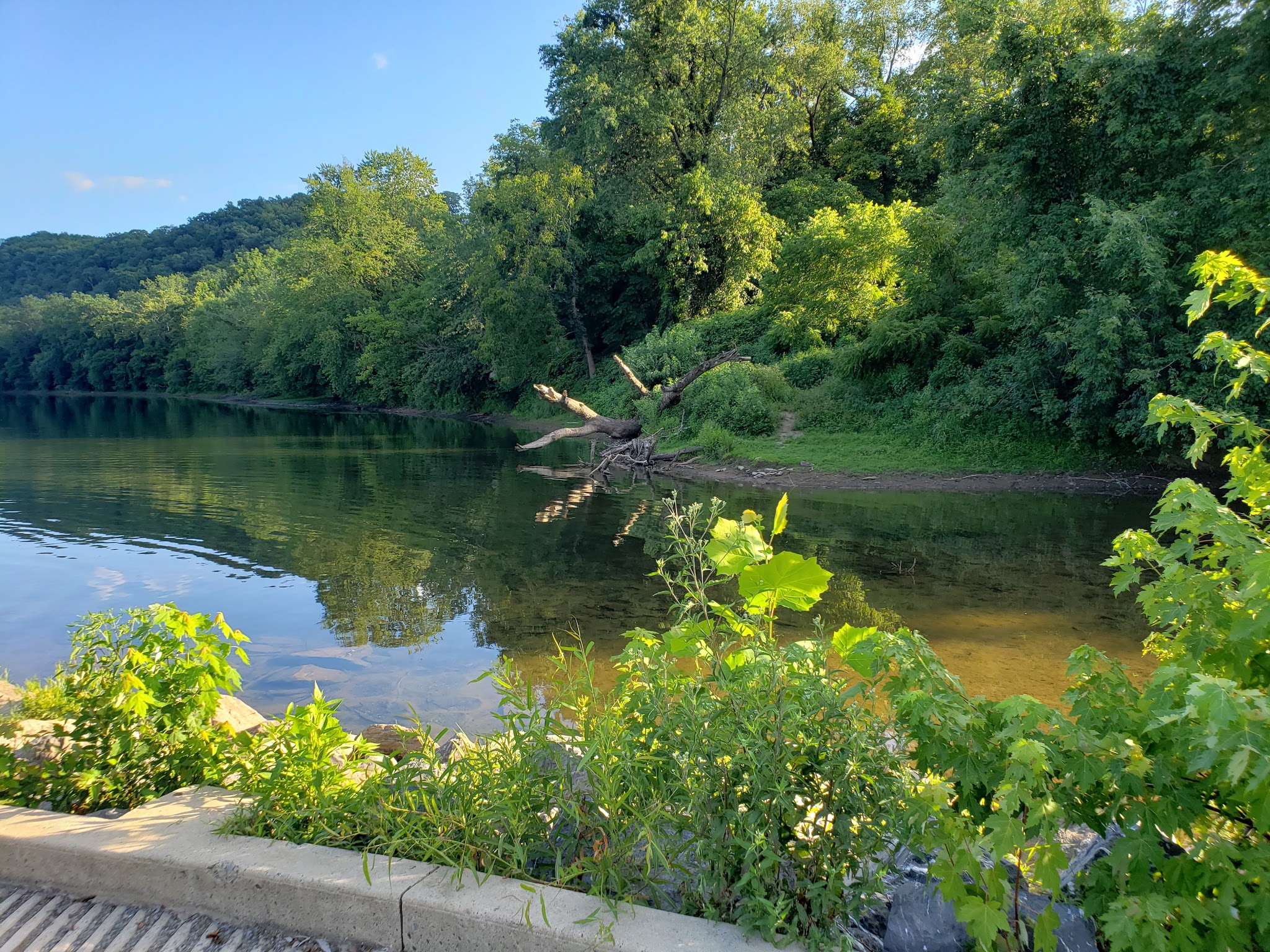 Fifteen Mile Creek Campsite