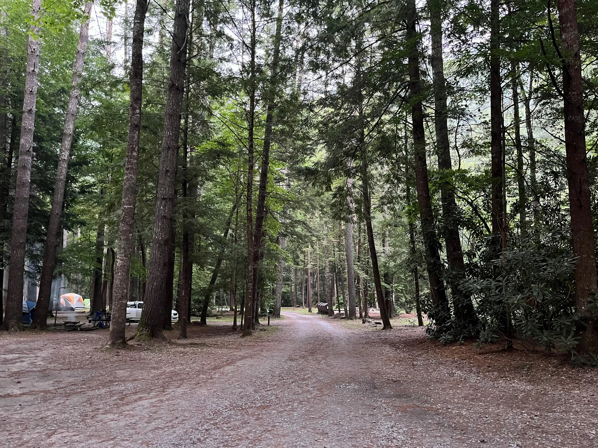 Cataloochee Group Camp