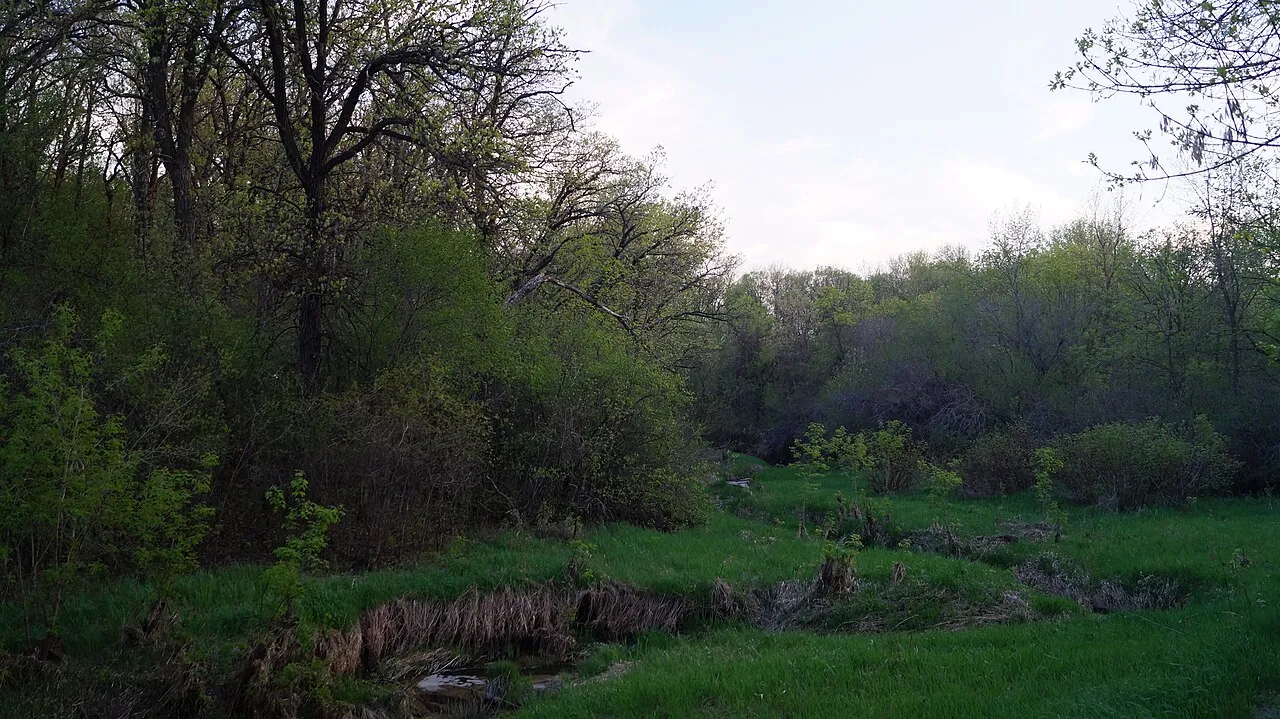 Turtle River Campground