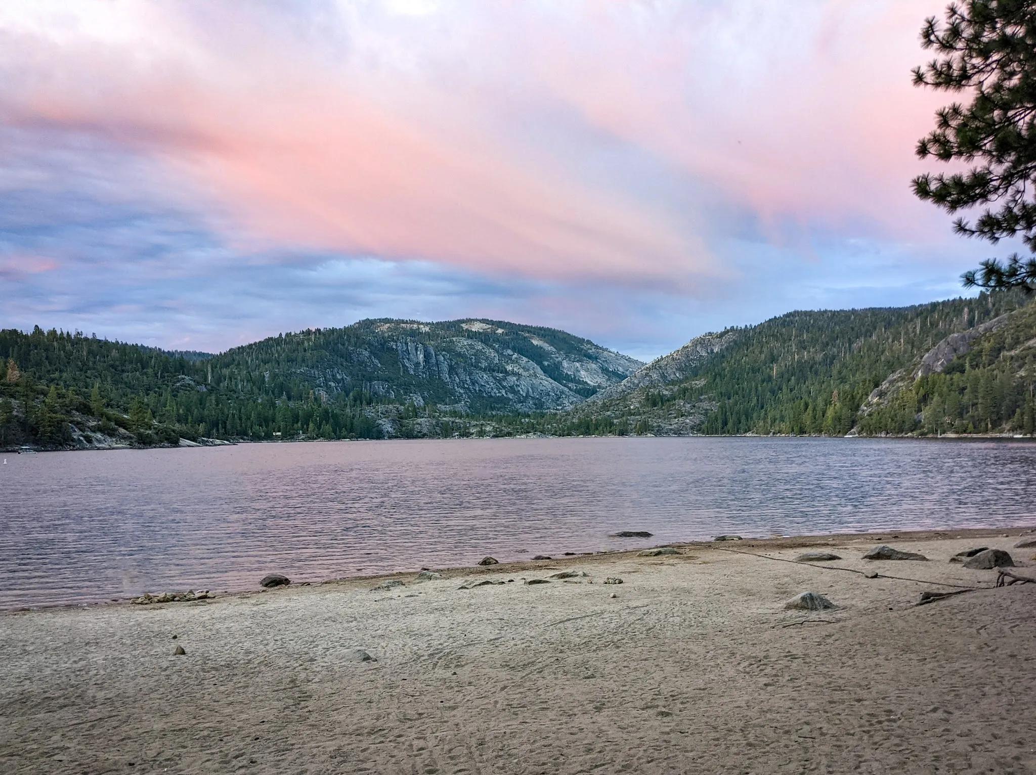 Pinecrest