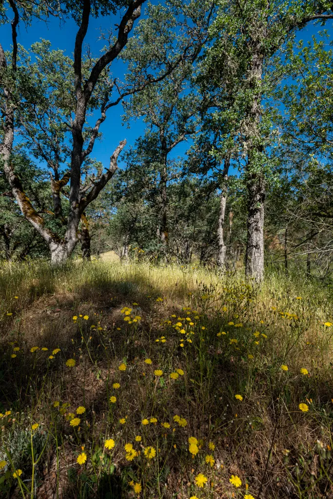 Manzanita Point Hike-In Group Campground