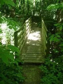 Campground (Sites 64-110)