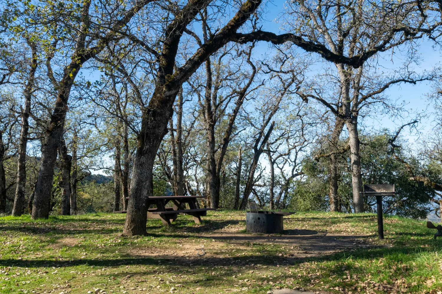 Oak Point Campground