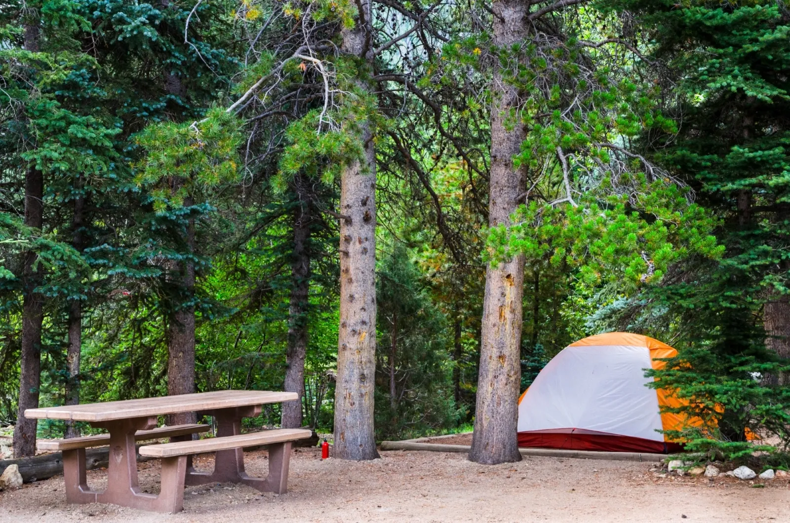 Rocky Mountain National Park Timber Creek Campground