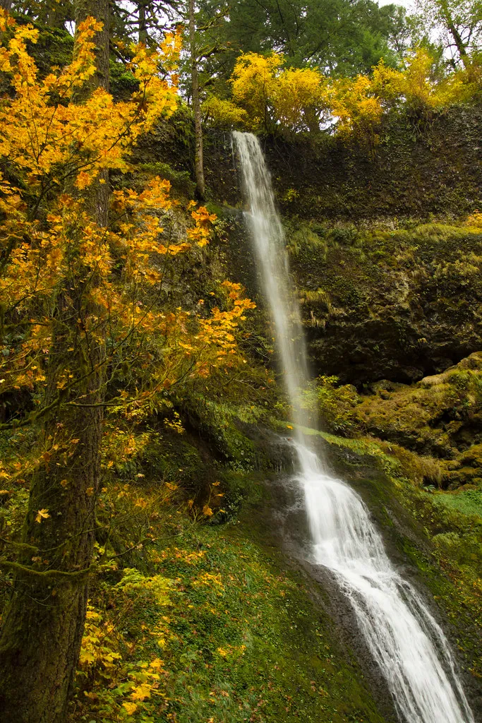 Silver Falls State Park