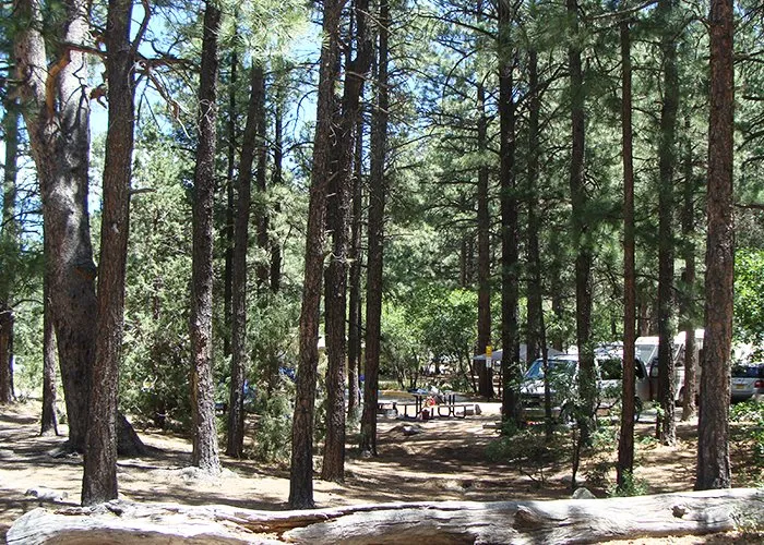 Cimarron Canyon