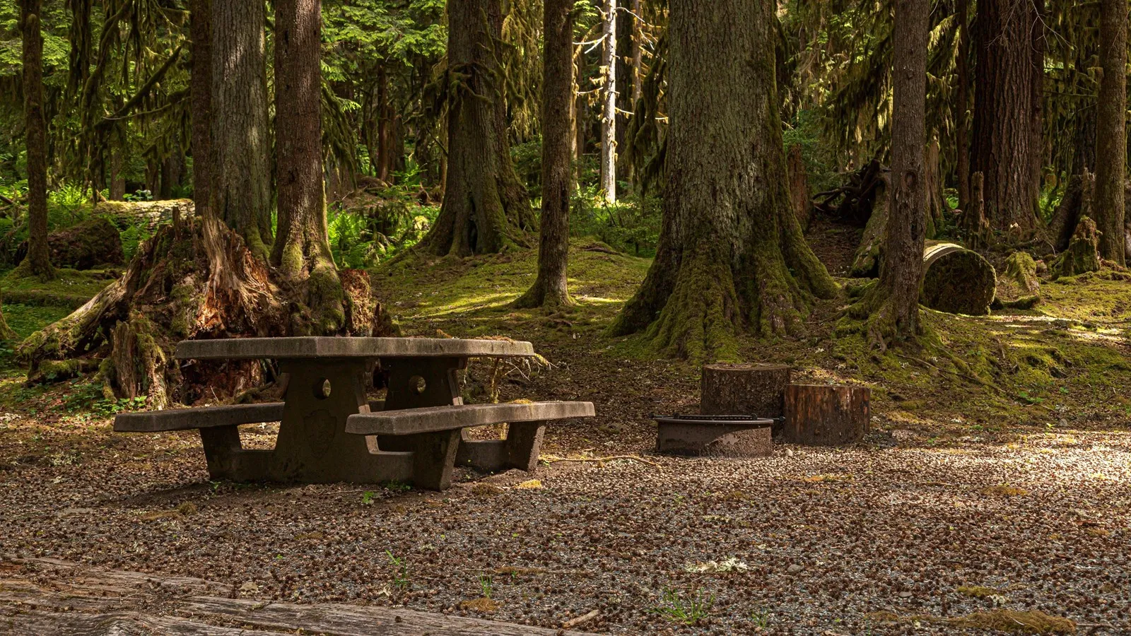 Sol Duc Hot Springs Resort Campground