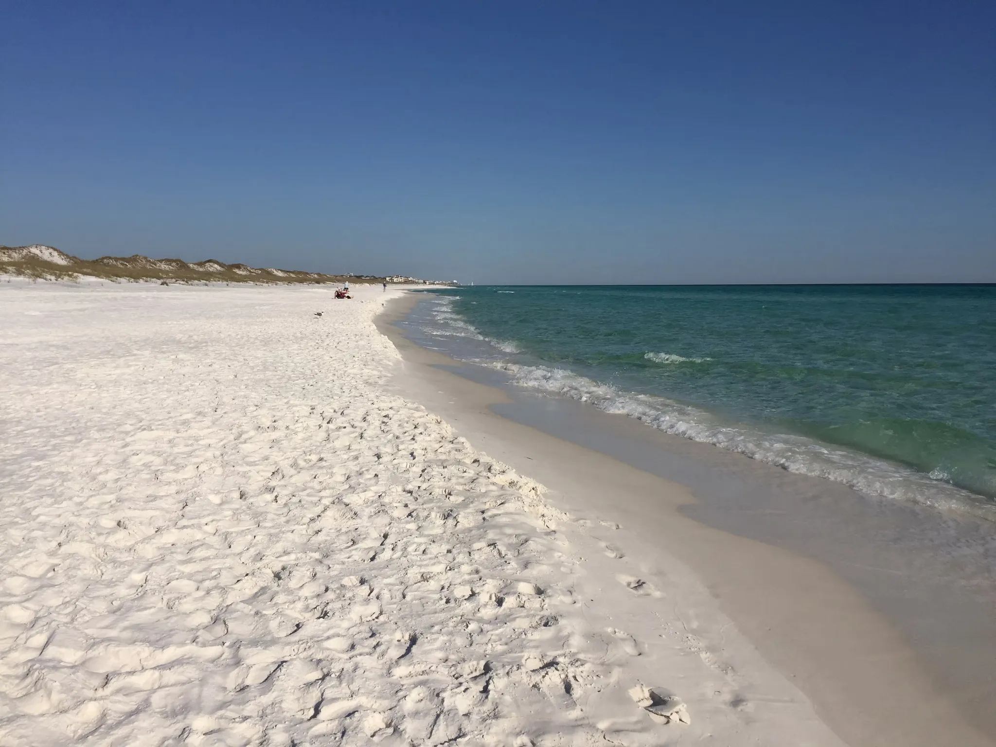 Topsail Hill Preserve State Park Loop 100