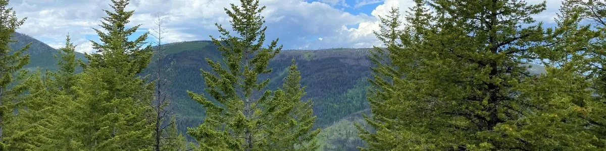 Salmon Meadows Campground