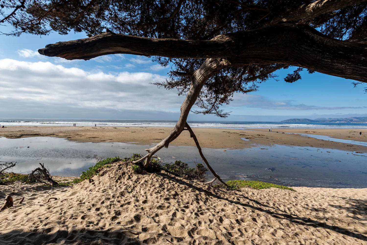 Oceano Campground