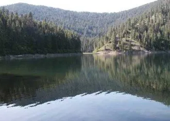 Browns Lake Campground