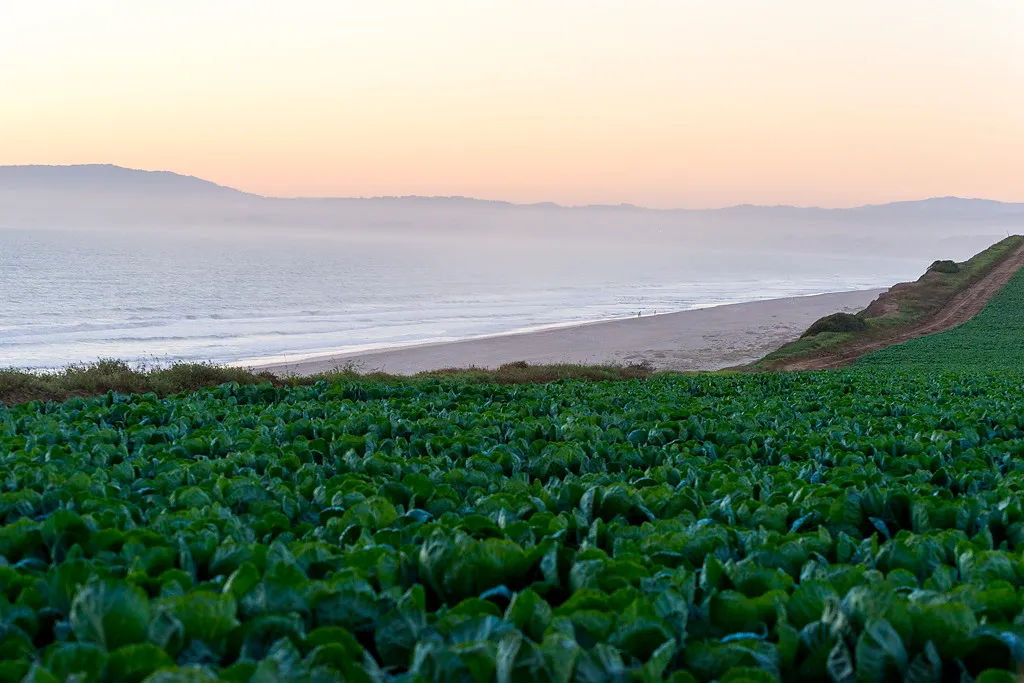 Manresa State Beach Campground