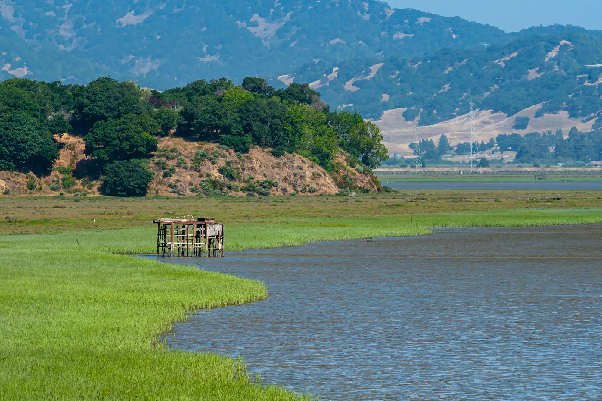 China Camp State Park Campground