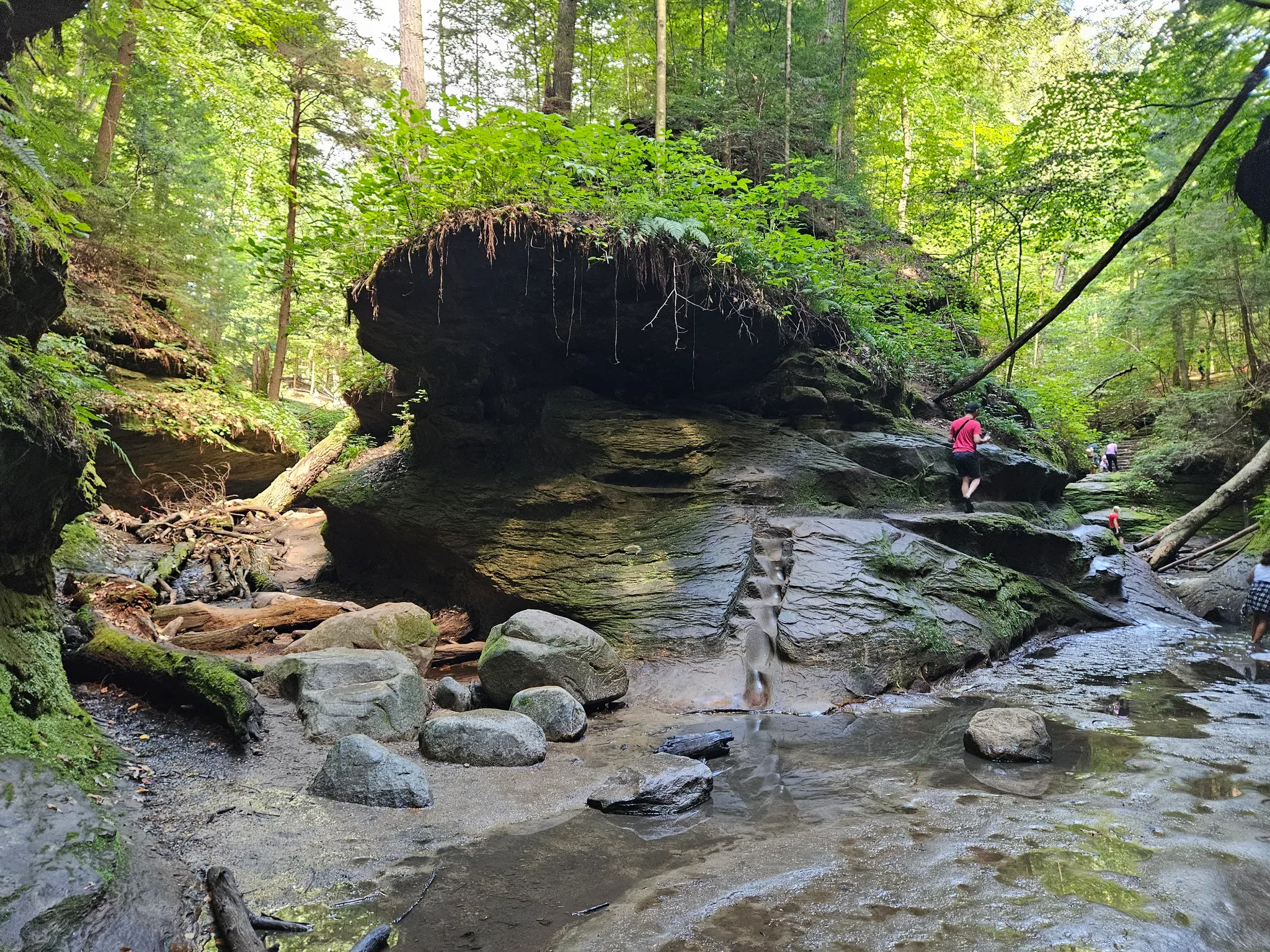 Turkey Run State Park