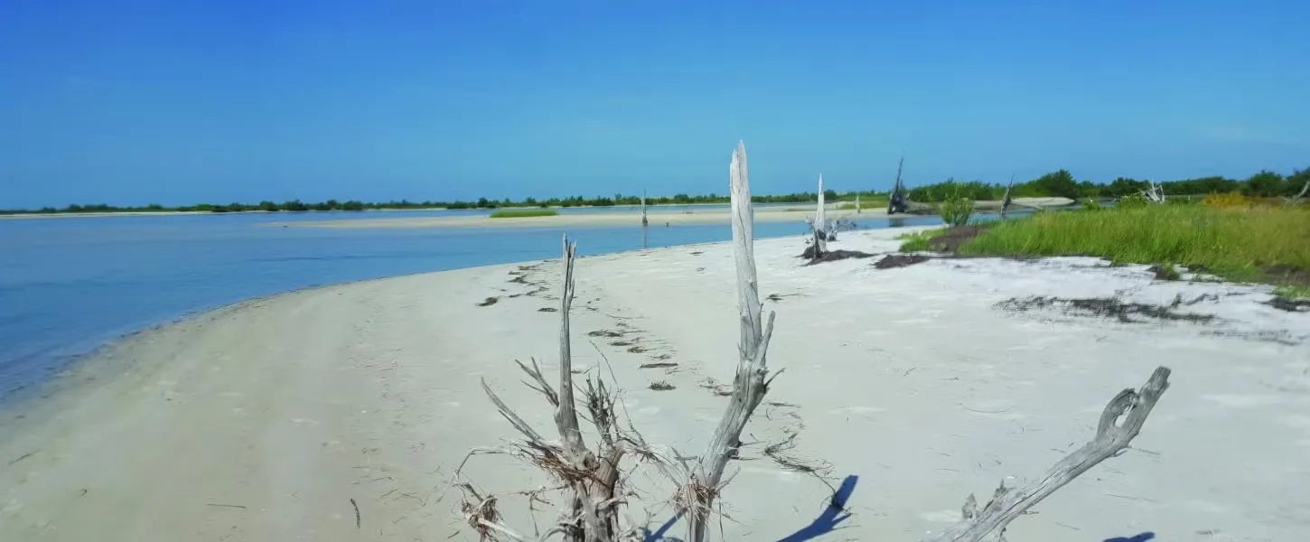 Anclote Key Preserve State Park Campground