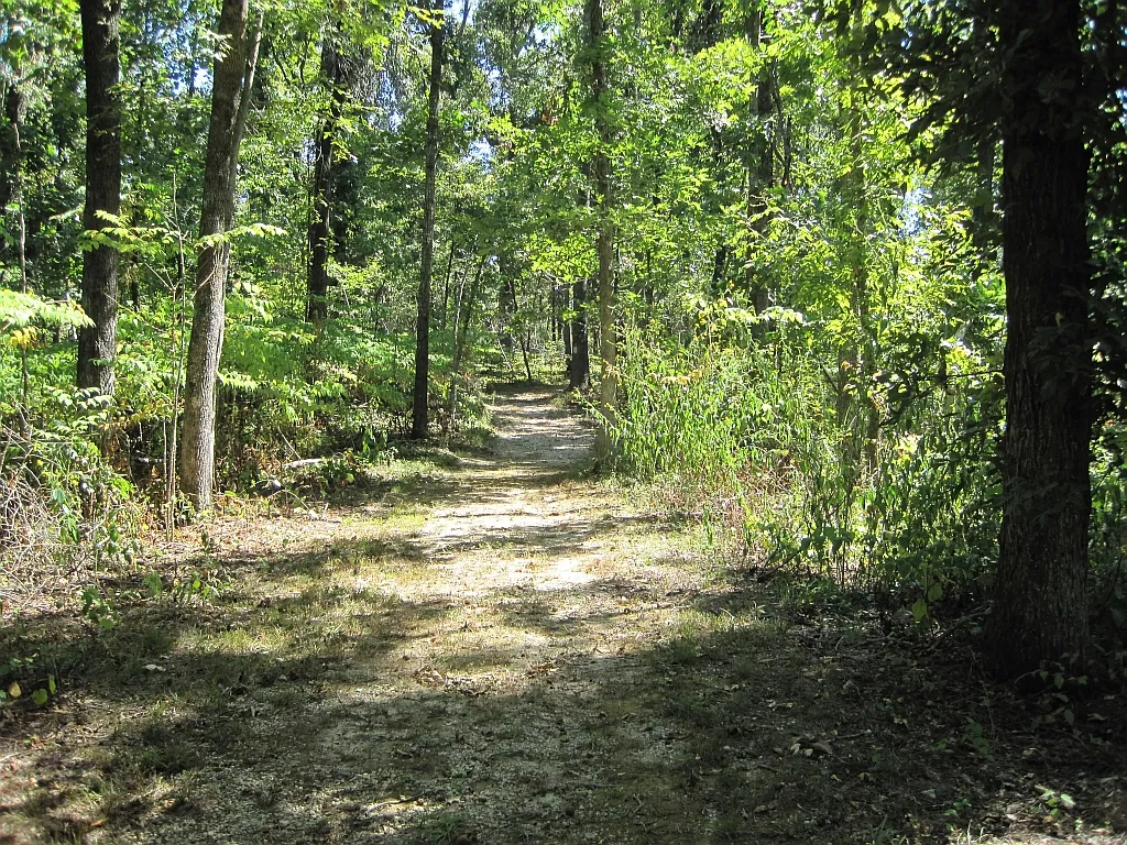 Lake Frierson Campground