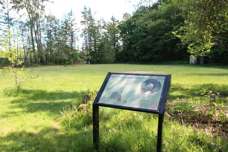 Unity Lake State Recreation Site