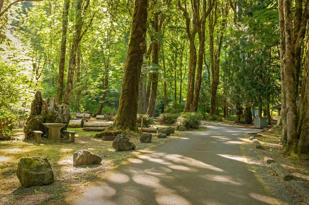 Potlatch State Park