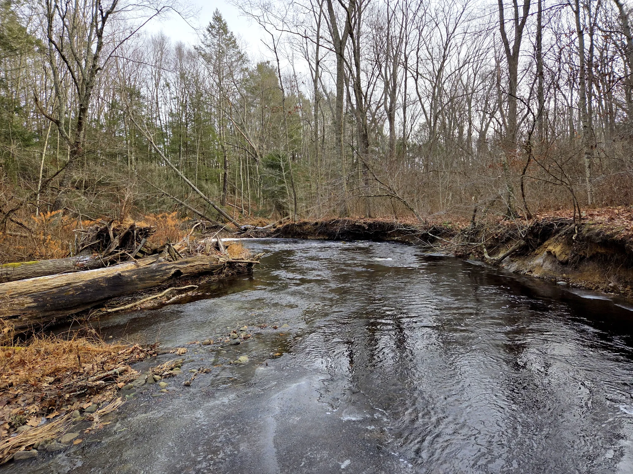 Mashamoquet Brook State Park