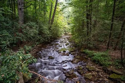 Smithgall Woods