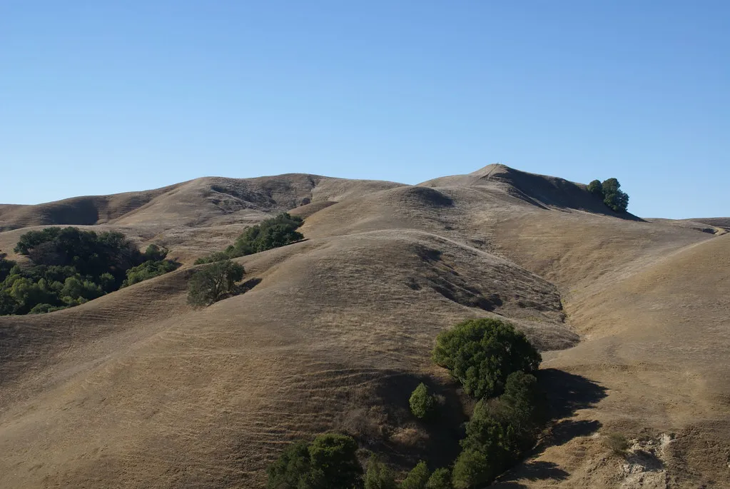 Briones Regional Park