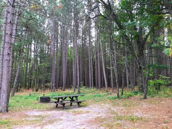 Goose Creek Trail Camp
