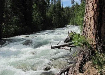 Falls Creek Campground