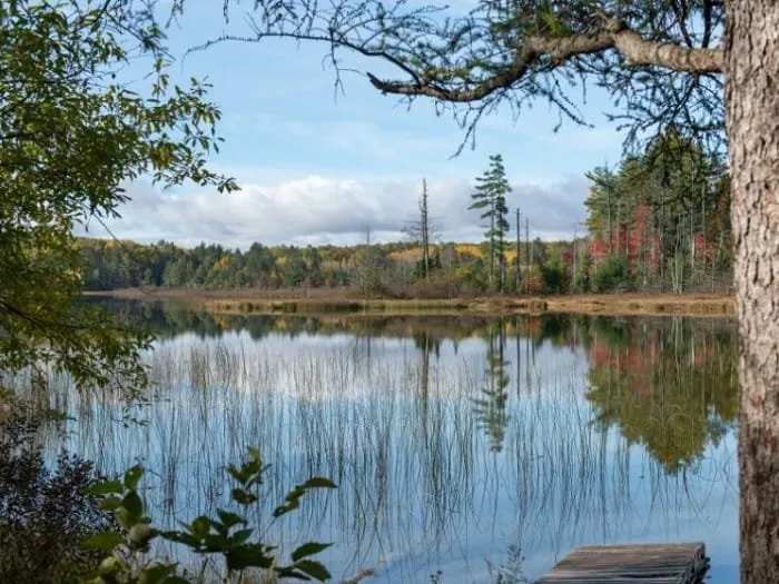 Pickerel Lake State Forest Campground (Otsego)