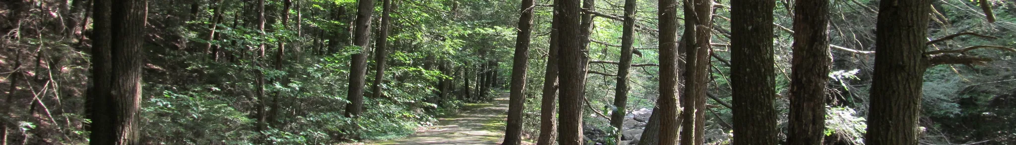 Granville State Forest