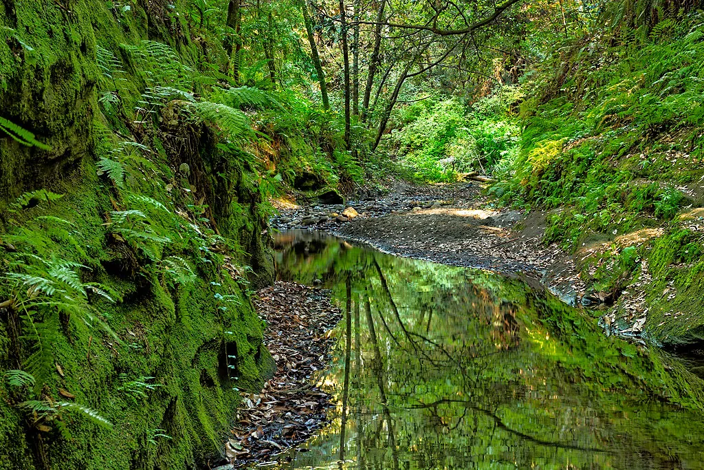 West Ridge Trail Campground
