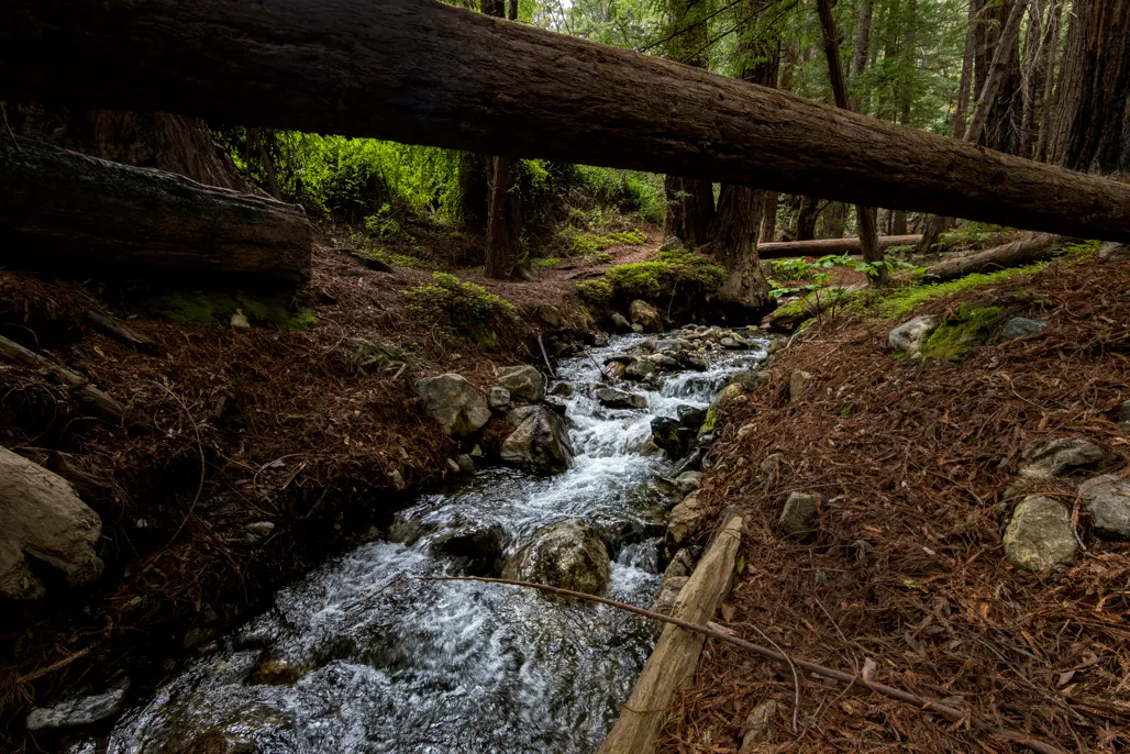 Environmental Group Campground