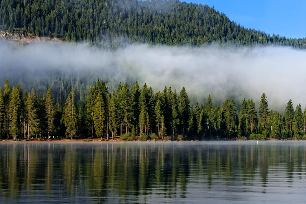 Donner Memorial State Park Campground