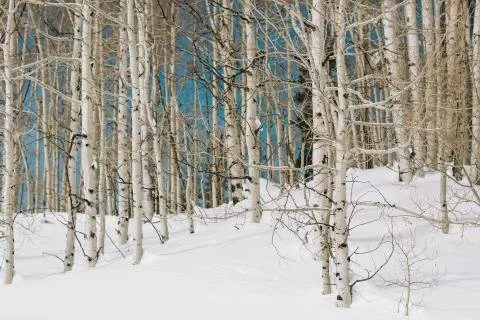 Lathrop State Park