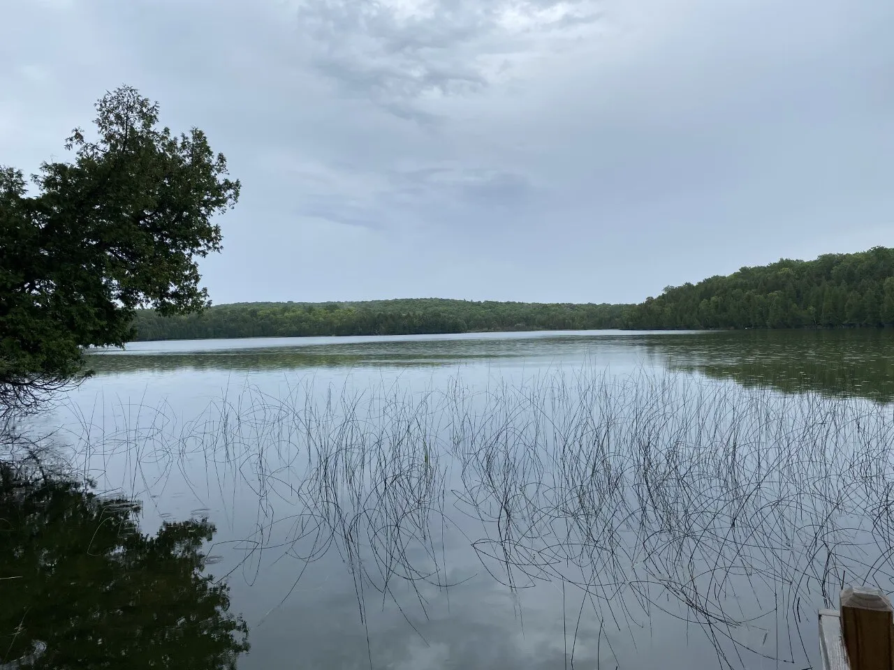Little Lake State Forest Campground