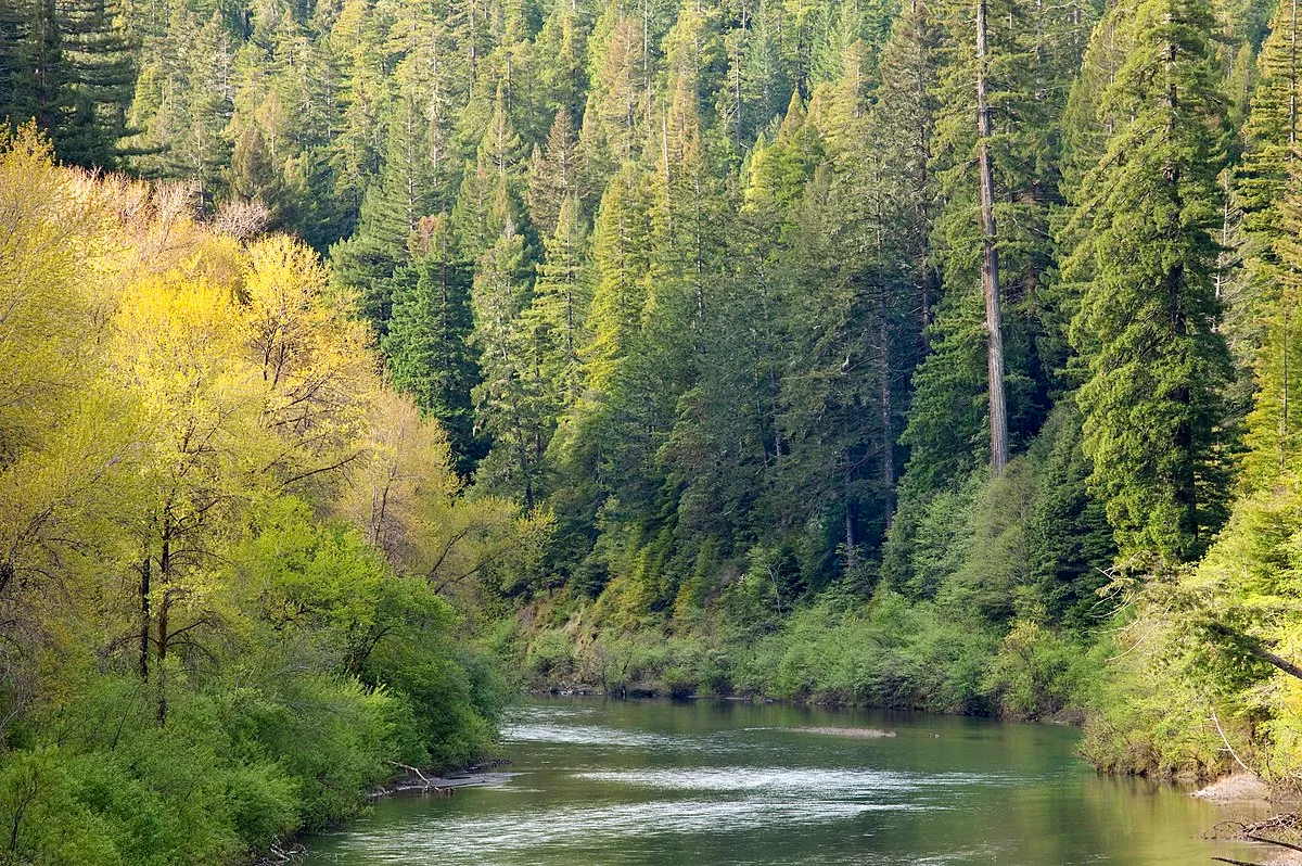 Eel River Campground
