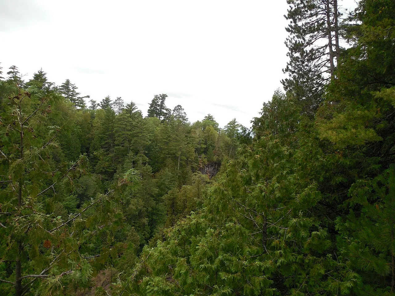 Pattison State Park