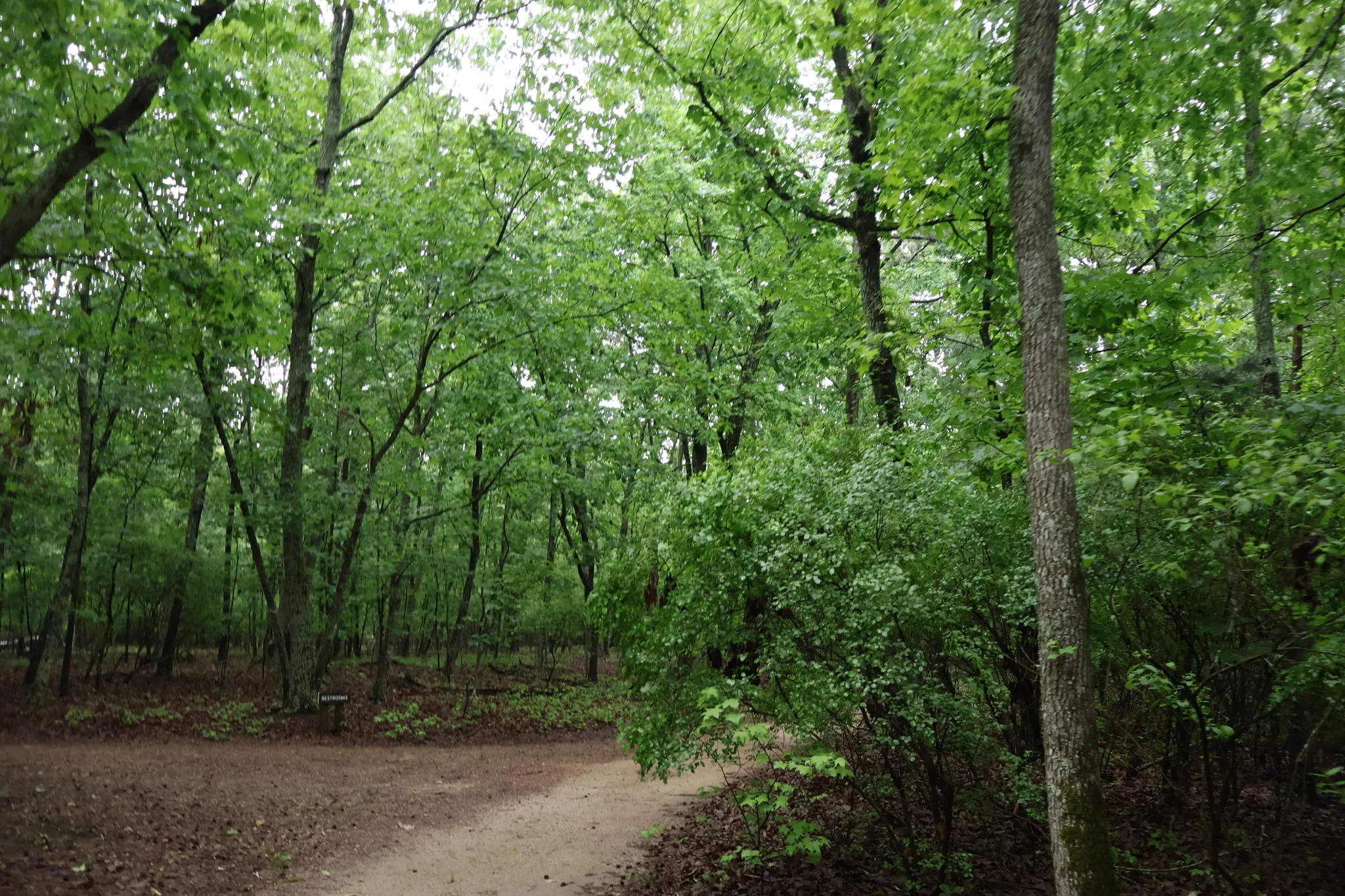 Raven Rock State Park