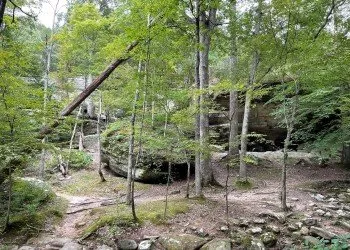 Pine Hills Campground