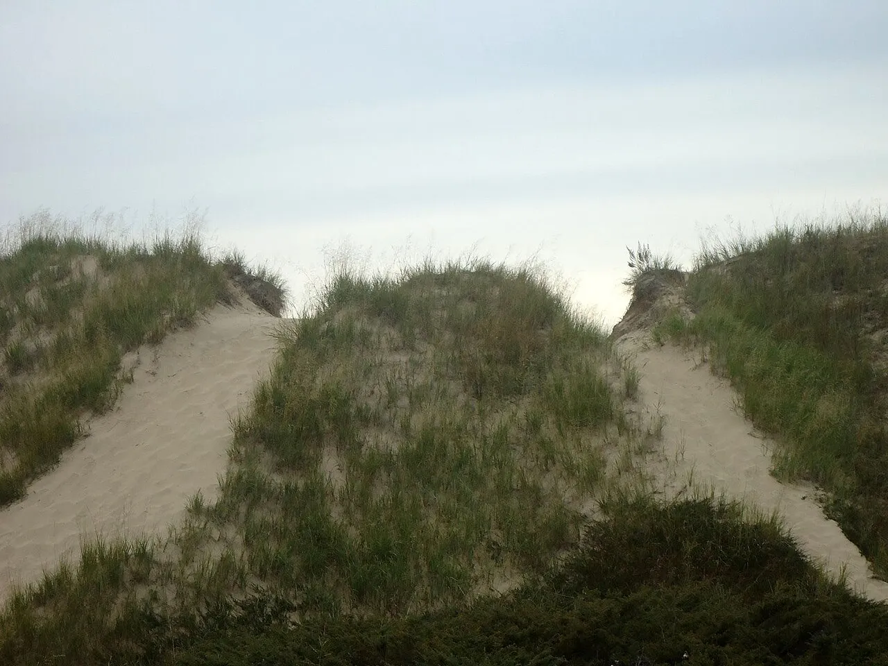 Kohler-Andrae State Park