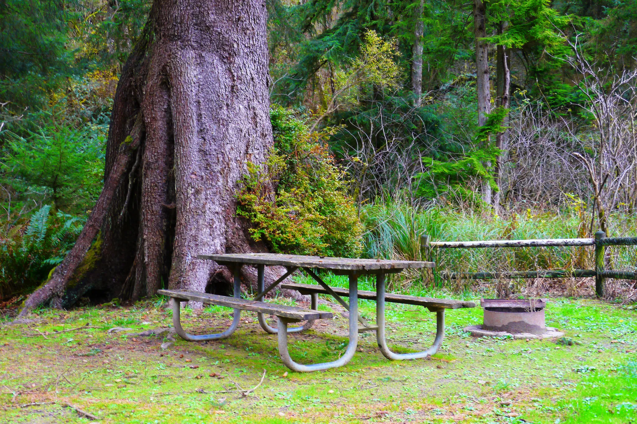 Sunset Bay State Park