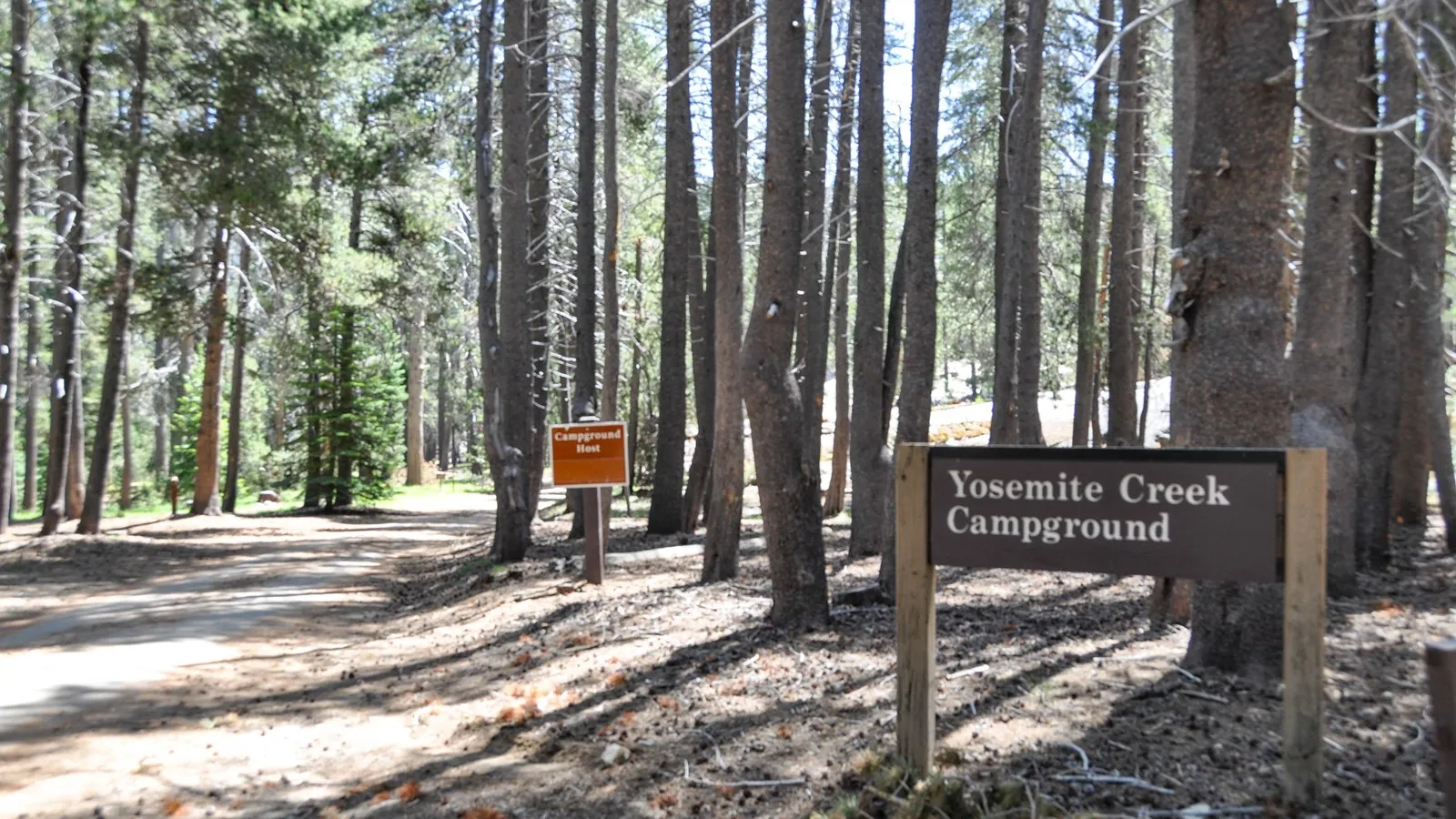 Yosemite Creek Campground