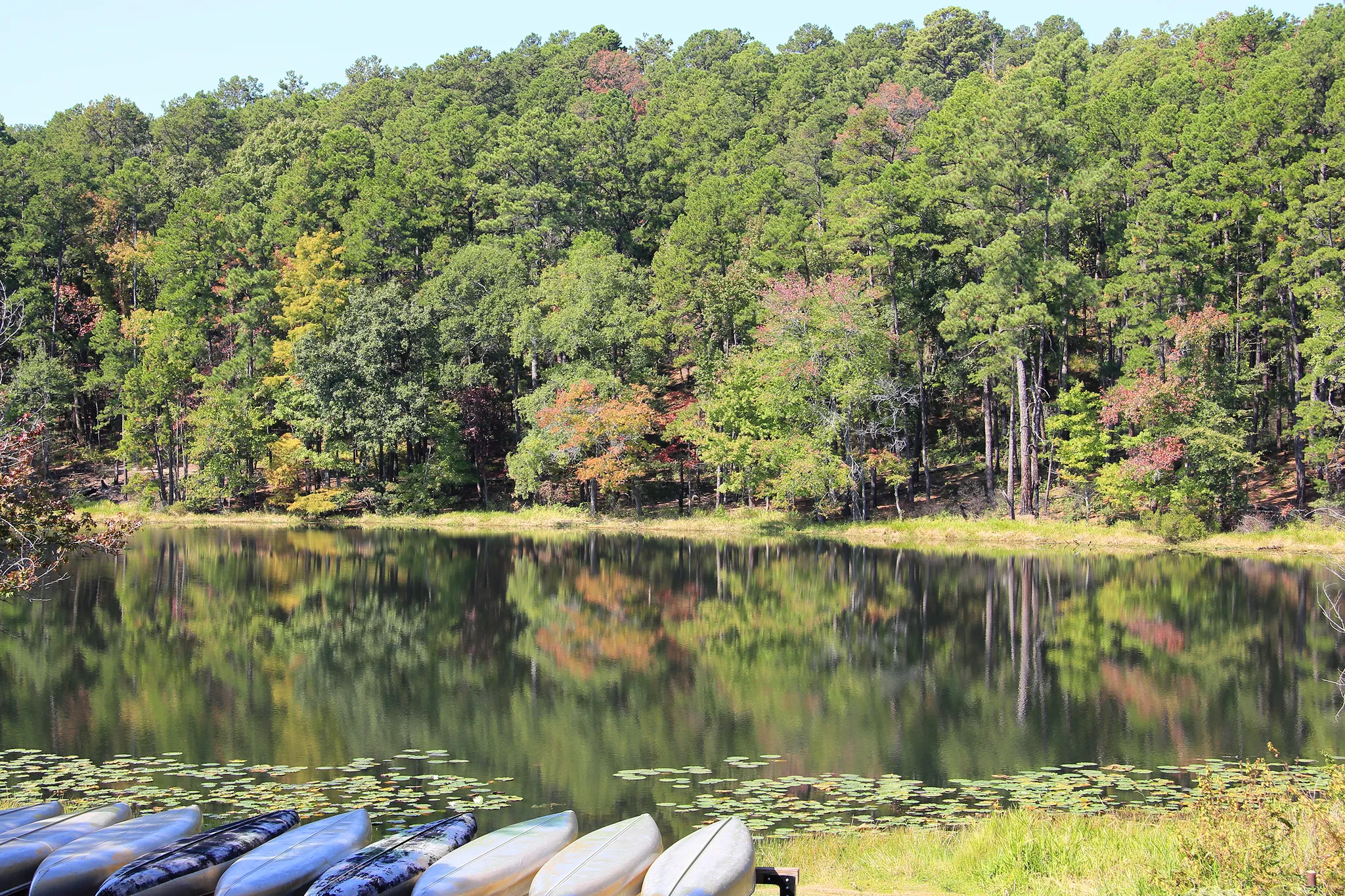 Daingerfield State Park
