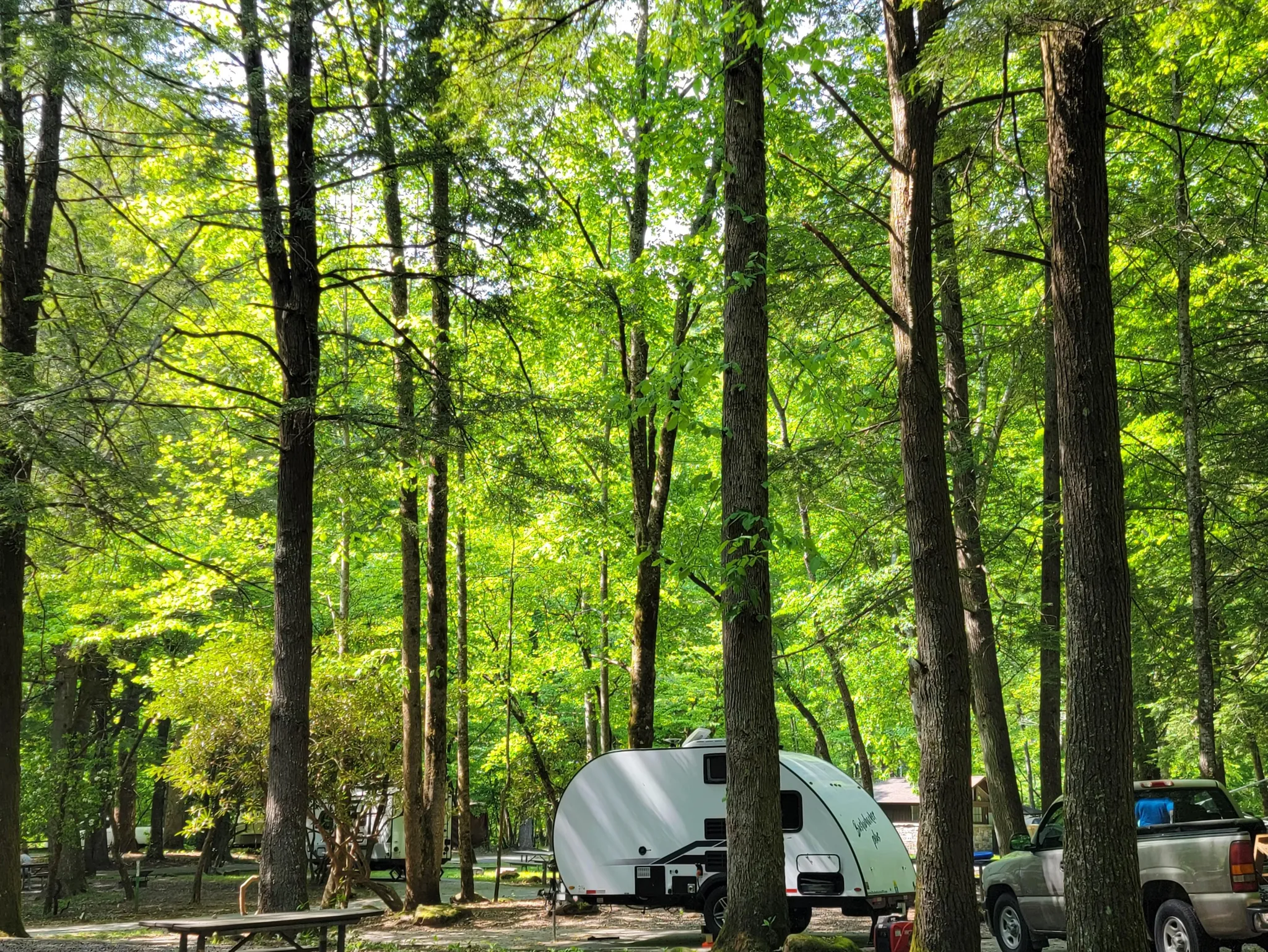Smokemont Group Campground