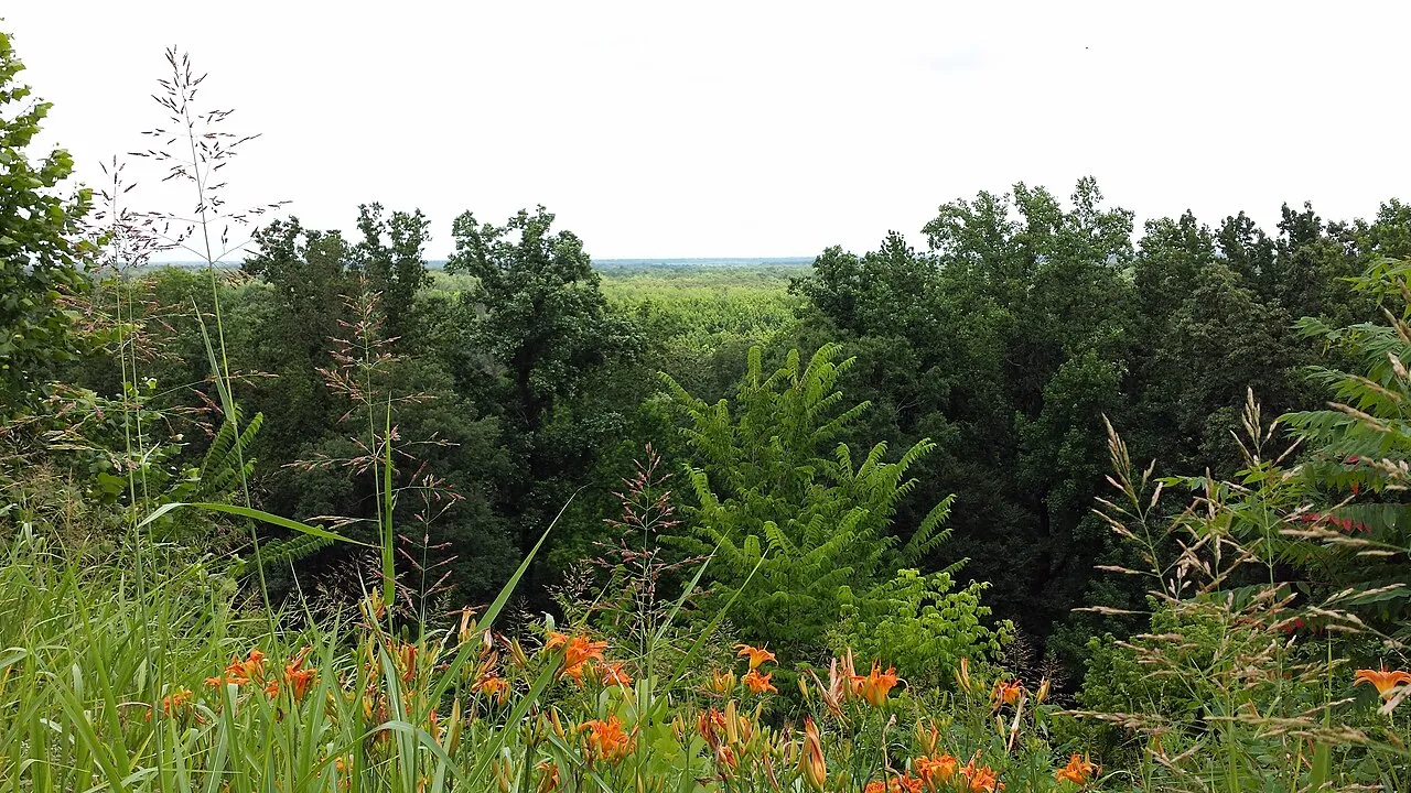 Mississippi River Campground