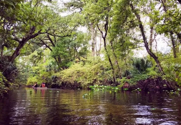 Wekiwa Springs State Park Loop Shcg