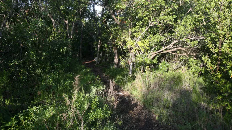Curry Hammock State Park Campground